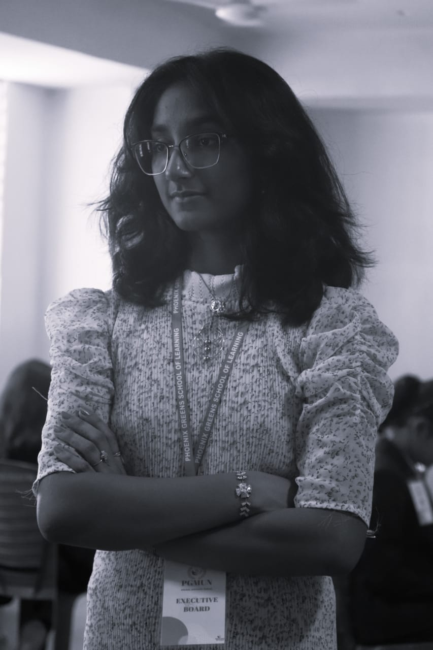 DISEC Rapporteur